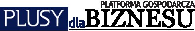 logo PLUSY dla BIZNESU